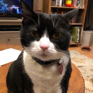 Meet your Posher, Kate